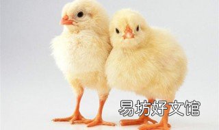快速催肥鸡饲料配方 快速催肥鸡饲料配方比例
