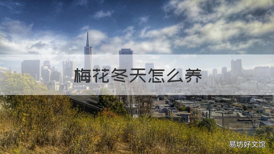 梅花冬天怎么养 北方养梅花能过冬天吗
