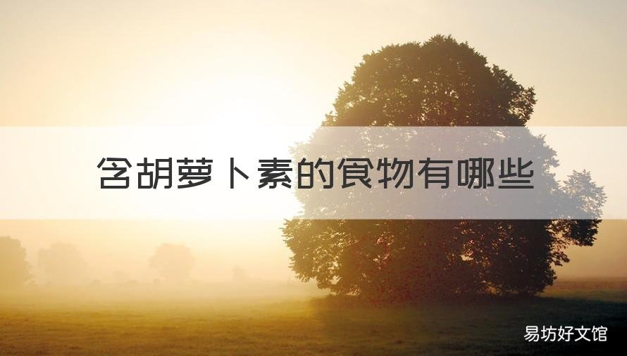 含胡萝卜素的食物有哪些