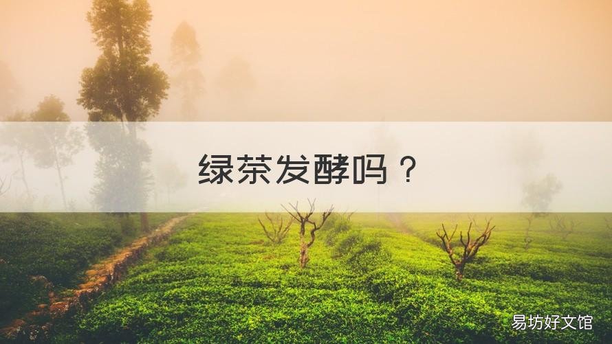 绿茶发酵吗 绿茶可以发酵吗?
