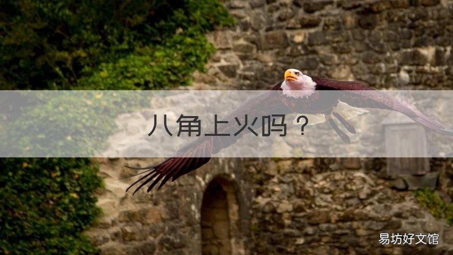 八角上火吗 八角上火吗?