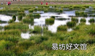 松潘草地简介 松潘草地具体位置