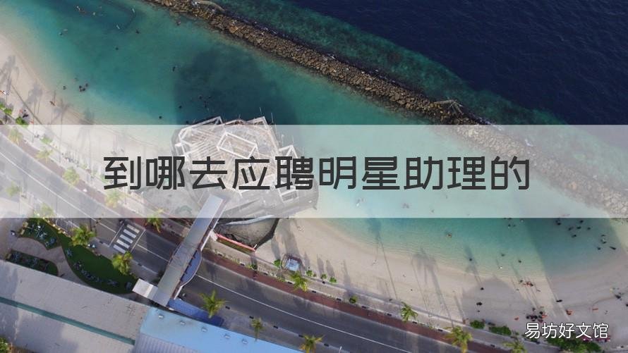 到哪去应聘明星助理的 明星找助理