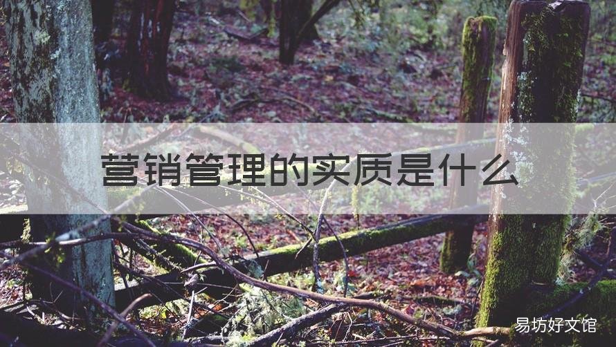 营销管理的实质是什么 营销的实质的是什么?