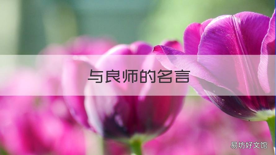 与良师的名言 对良师的赞美的名言