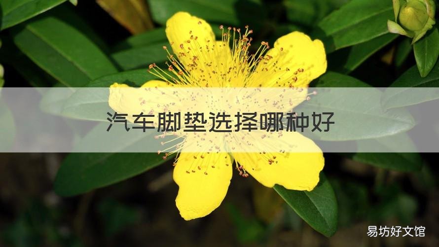 汽车脚垫选择哪种好 汽车脚垫选择哪种得好