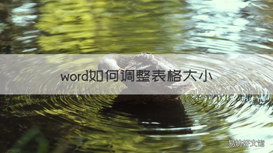 word如何调整表格大小 Word表格怎么调整大小