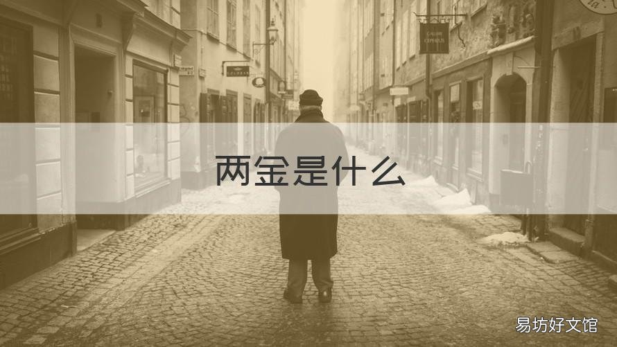 两金是什么 六险两金是什么