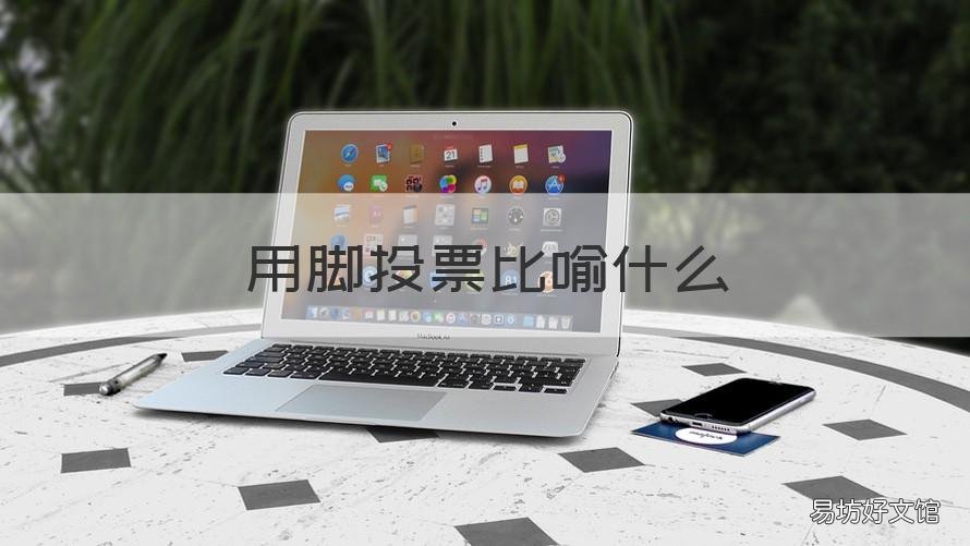 用脚投票比喻什么 用脚投票的意思是什么