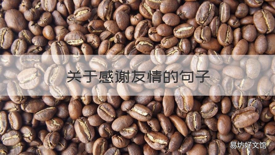 关于感谢友情的句子 表示感谢友情的句子