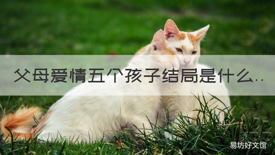 父母爱情五个孩子结局是什么 父母爱情 五个孩子结局
