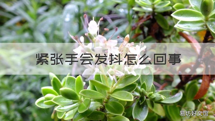 紧张手会发抖怎么回事 紧张手发抖是什么原因