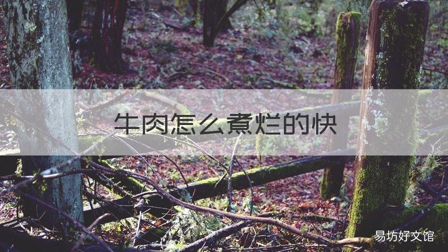 牛肉怎么煮烂的快 煮牛肉怎样烂的快