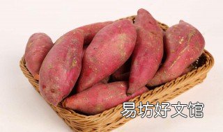 红薯品种大全介绍 河北红薯品种大全介绍