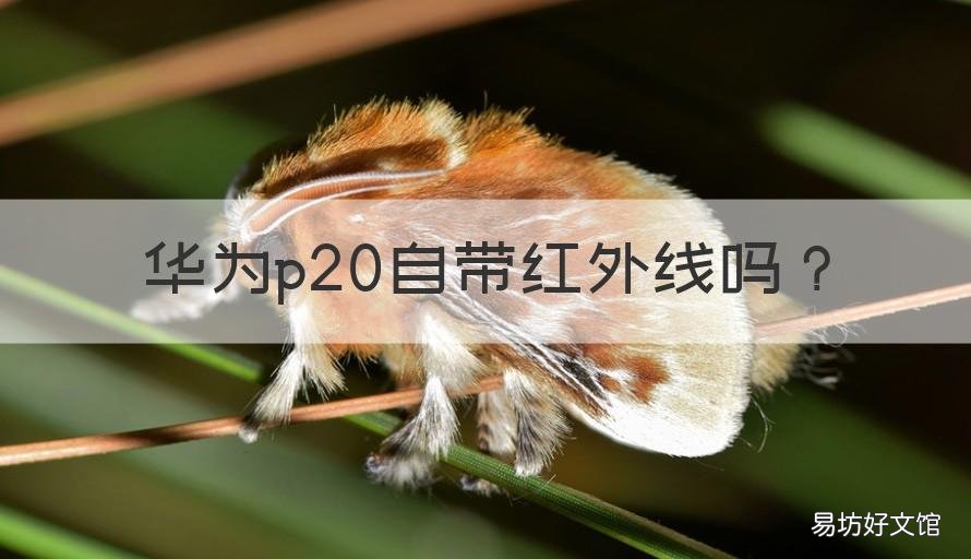 华为p20自带红外线吗 华为p20有红外线吗?