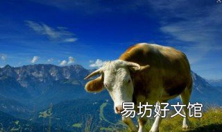 怎么样养牛 怎么样养牛才能赚钱