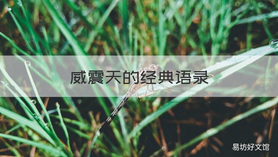 威震天的经典语录 威震天 语录
