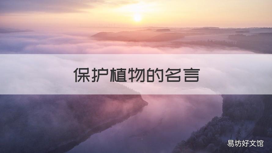 保护植物的名言 保护植物的名人名言