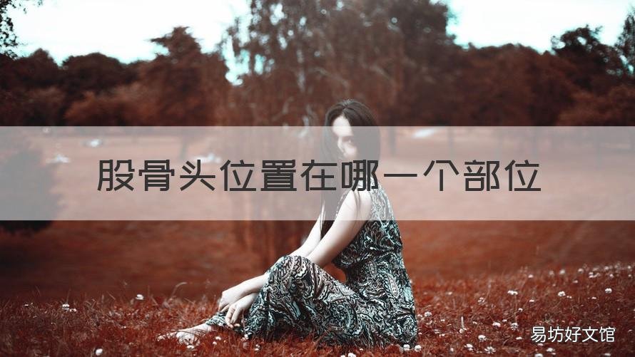 股骨头位置在哪一个部位 股骨头位置在哪一个部位图解