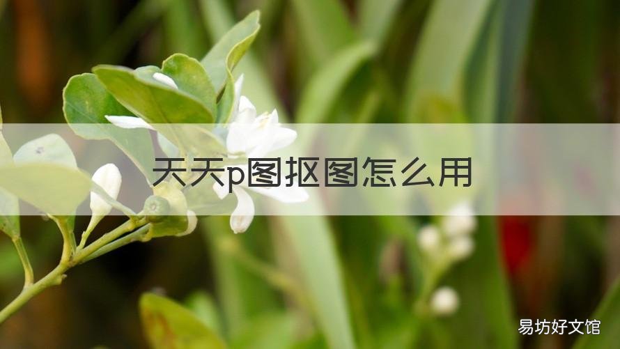 天天p图抠图怎么用 天天P图里面抠图怎么用