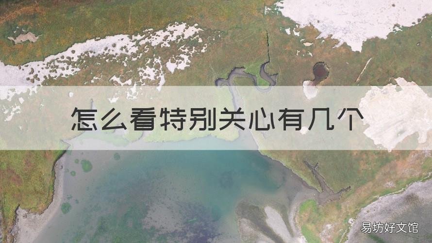 怎么看特别关心有几个 如何看有几个特别关心