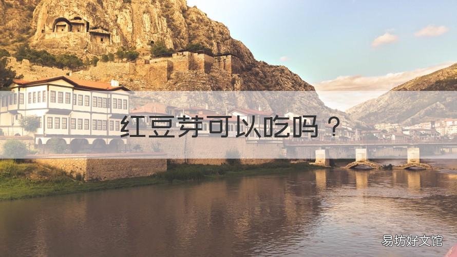 红豆芽可以吃吗 红豆芽可以吃吗如何发红豆芽