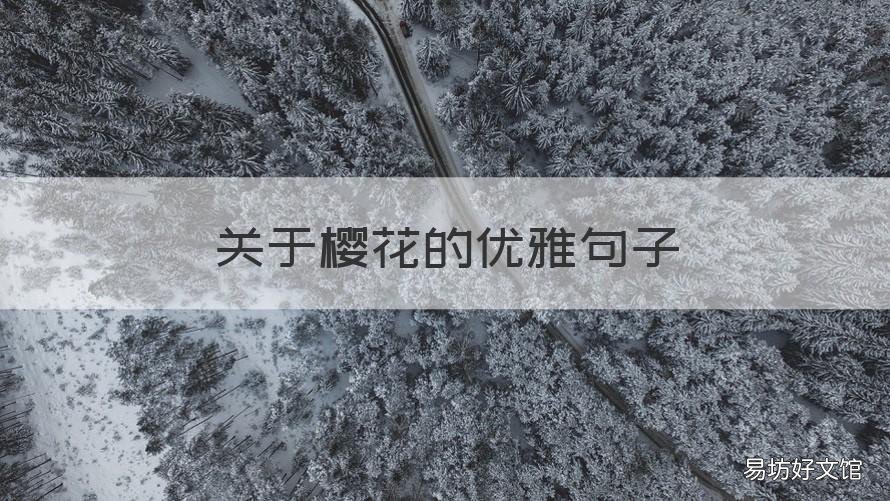 关于樱花的优雅句子 关于樱花优美句子
