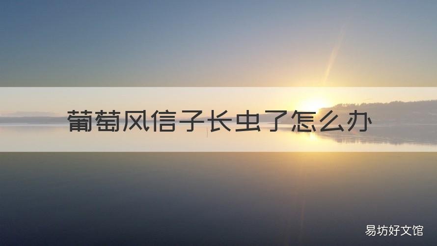 葡萄风信子长虫了怎么办 葡萄风信子长了很多小球