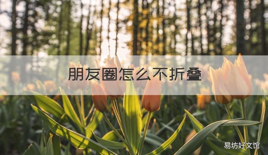 朋友圈怎么不折叠 讯飞输入法发朋友圈怎么不折叠