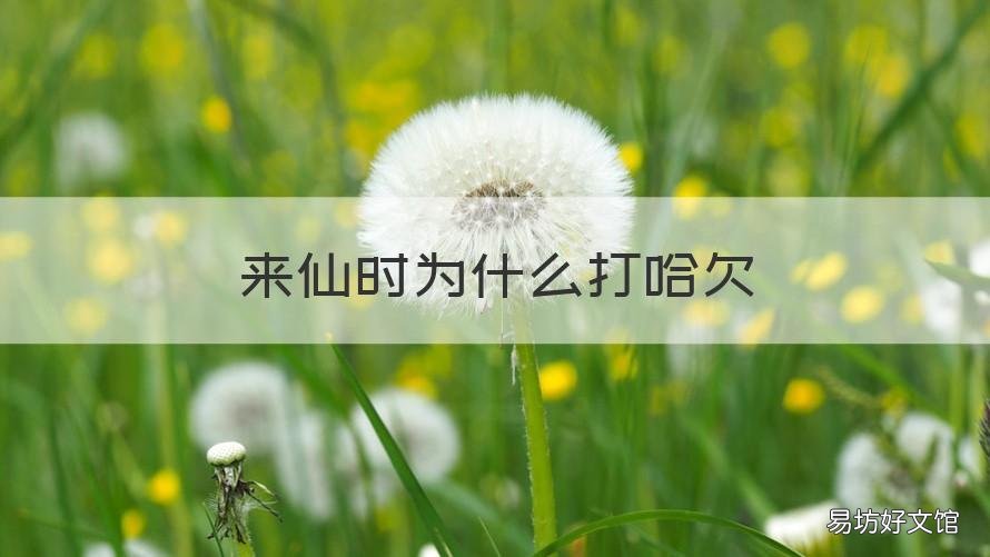 来仙时为什么打哈欠 什么仙来了打哈欠