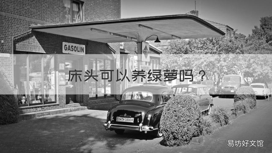 床头可以养绿萝吗 床头可以养绿萝吗风水好吗