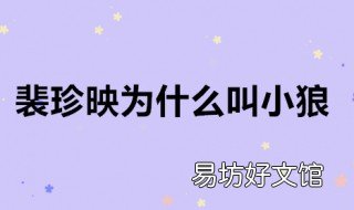 裴珍映为什么叫小狼 裴珍映李小狼