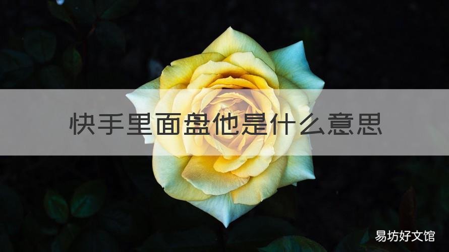 快手里面盘他是什么意思 快手控盘是什么意思