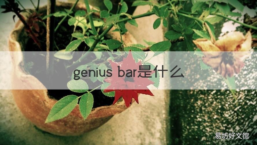 genius bar是什么 genius bar是干什么的