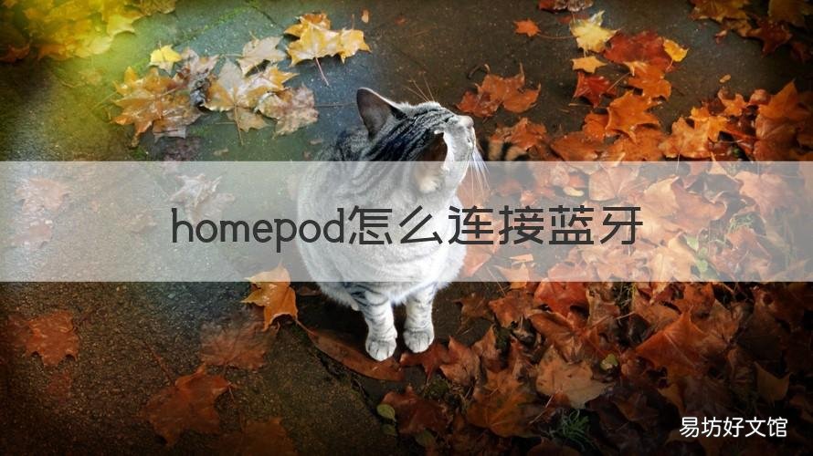 homepod怎么连接蓝牙 homepod怎么用蓝牙连接