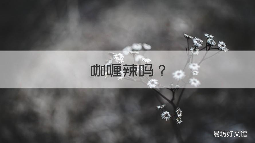 咖喱辣吗 咖喱辣吗?