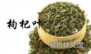 枸杞叶的禁忌 枸杞叶禁忌什么