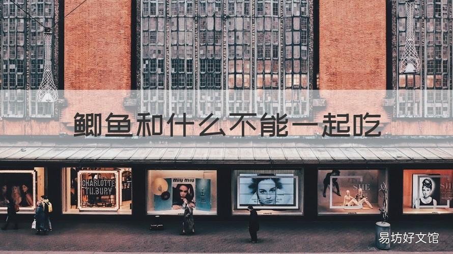 鲫鱼和什么不能一起吃 鲫鱼和什么不能一起吃会中毒