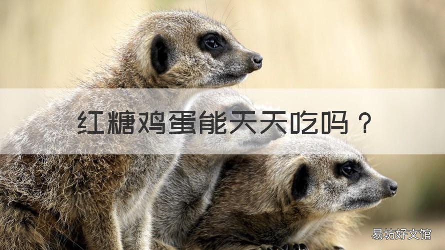 红糖鸡蛋能天天吃吗 坚持吃红糖鸡蛋真的有用吗