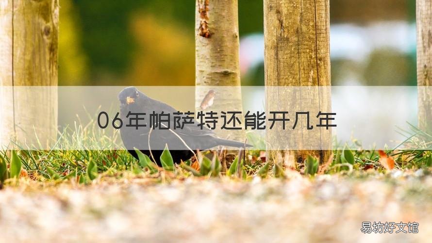 06年帕萨特还能开几年 06年的上海大众帕萨特还能开几年