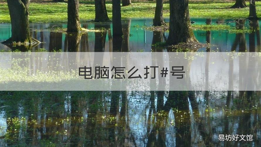 电脑怎么打#号 电脑的:号怎么打