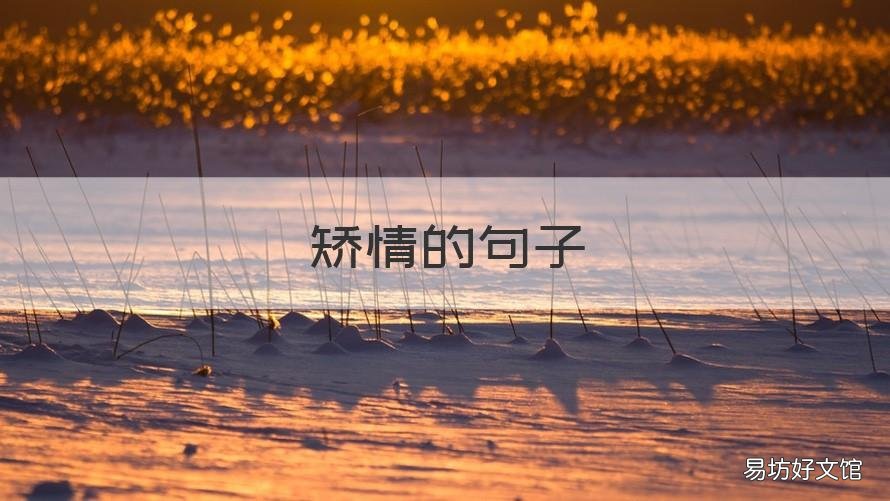 矫情的句子 治愈一切矫情的句子