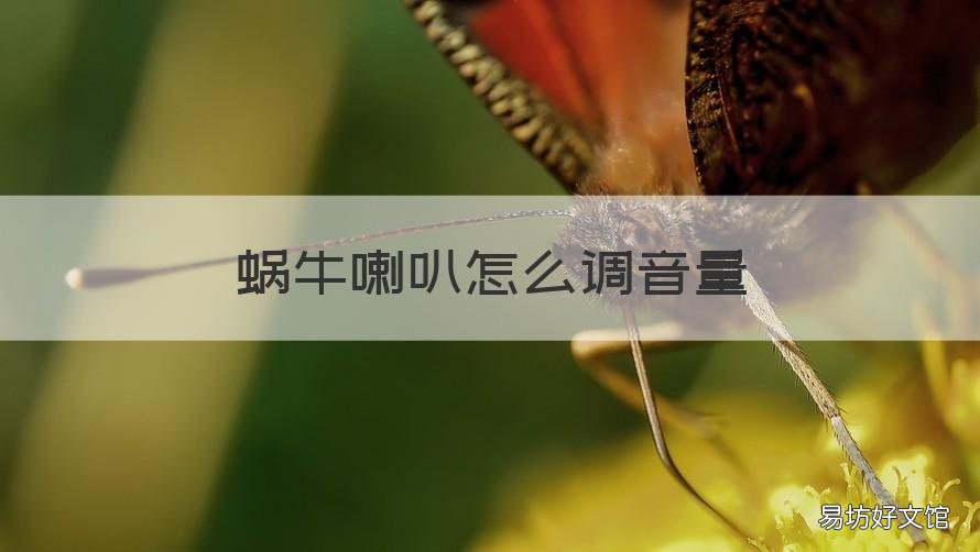 蜗牛喇叭怎么调音量 蜗牛喇叭怎么调音量图解