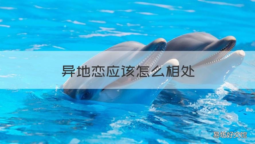 异地恋应该怎么相处 异地恋怎么相处才会长久