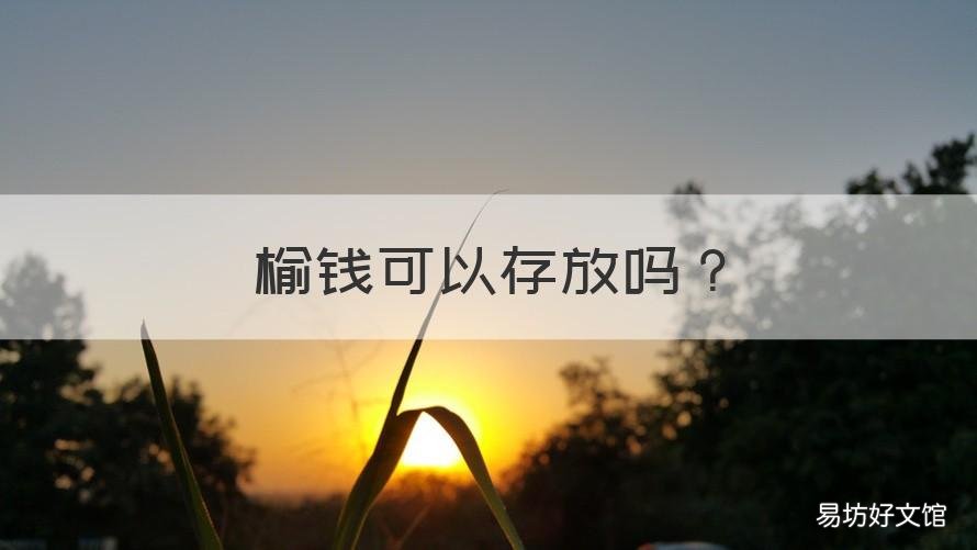 榆钱可以存放吗 榆钱怎样储存