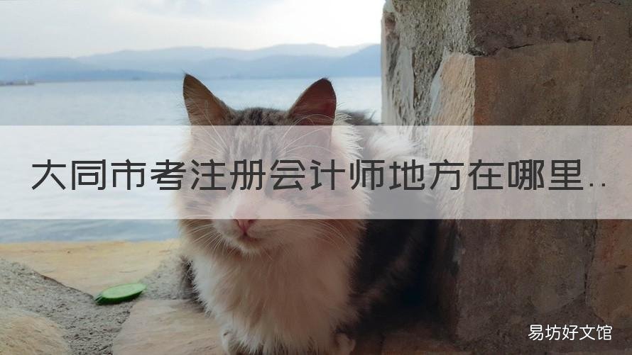 大同市考注册会计师地方在哪里
