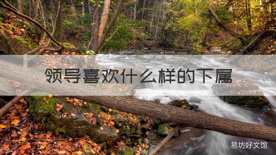 领导喜欢什么样的下属 什么样的领导就有什么样的下属