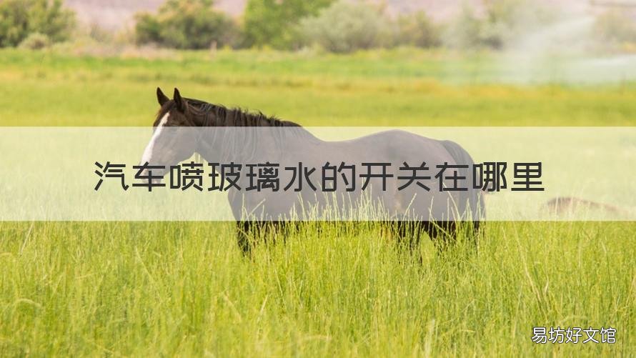 汽车喷玻璃水的开关在哪里 汽车喷玻璃水的开关在哪里图解