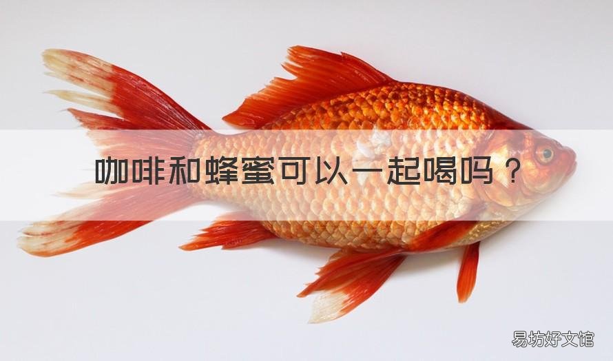 咖啡和蜂蜜可以一起喝吗 牛奶咖啡和蜂蜜可以一起喝吗