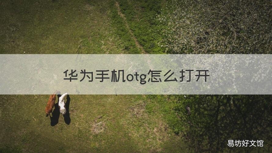 华为手机otg怎么打开 怎样打开华为手机OTG